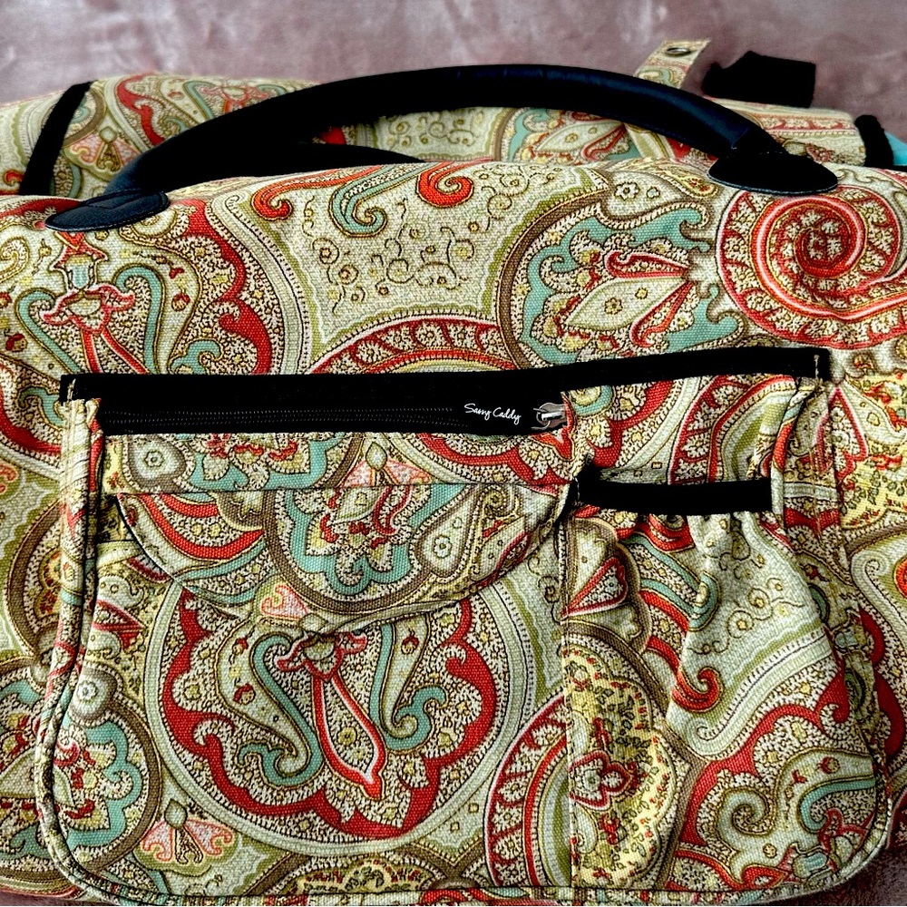 Sassy caddy overnight/show storage bag